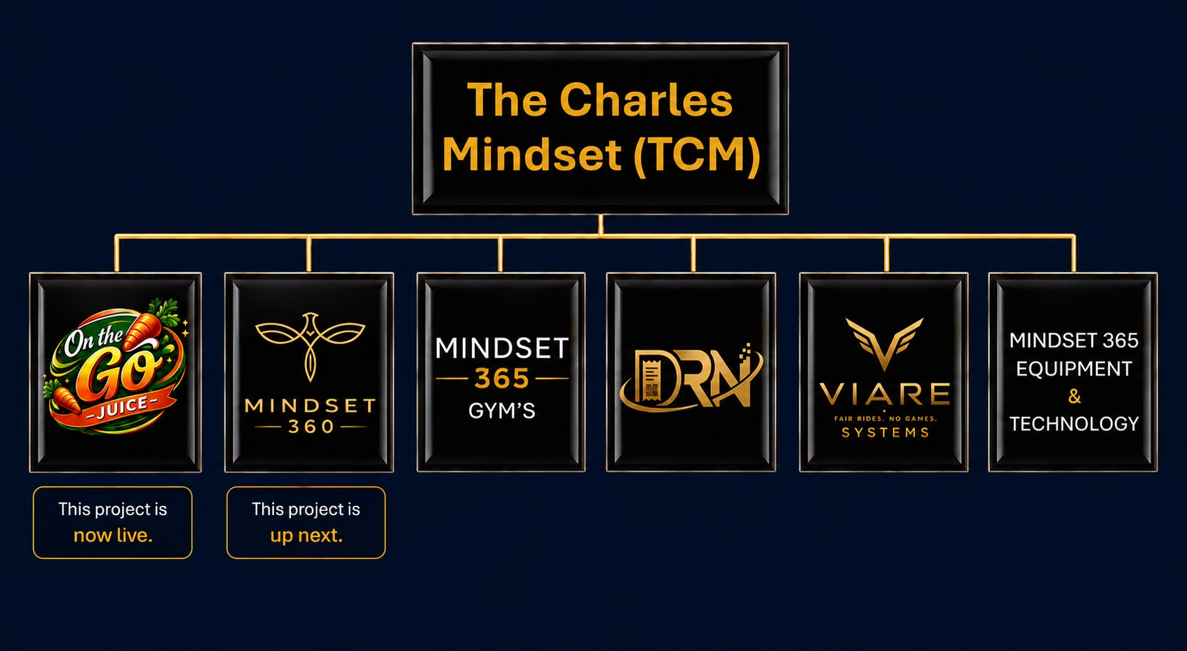 The Charles Mindset (TCM) portfolio: On the Go Juice, Mindset 365 Clothing, Mindset 365 Gym's, DRN, Mindset 365 Equipment & Technology, Viare Systems